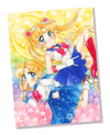 Sailor Moon Print